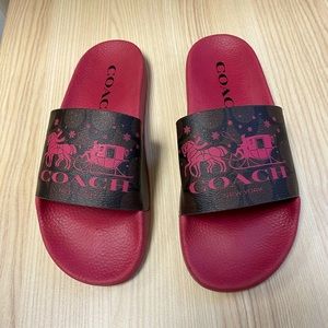 COACH Slides